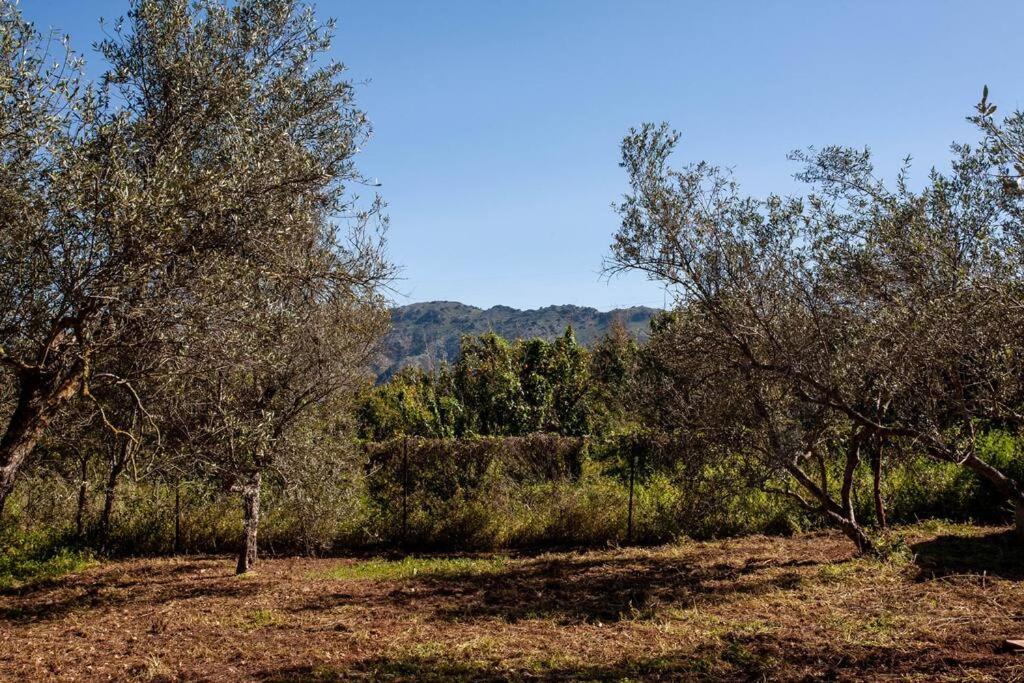 Onar Camper Βίλα Ligidhes Εξωτερικό φωτογραφία